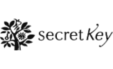 logo-secret-key